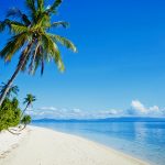 Blogbild Strand und Palmen
